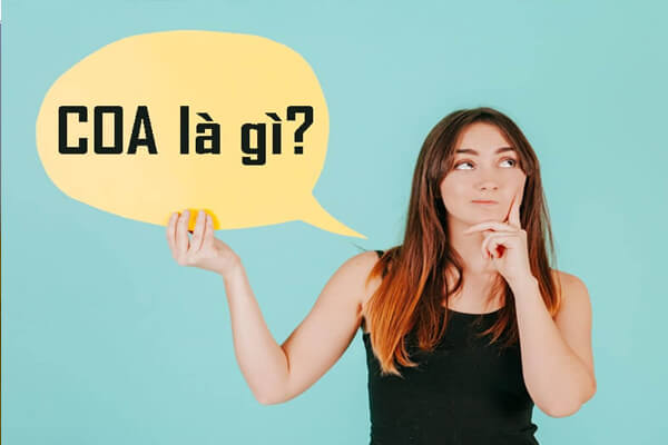 COA là gì? COA có ý nghĩa gì đối với lĩnh vực xuất nhập khẩu?