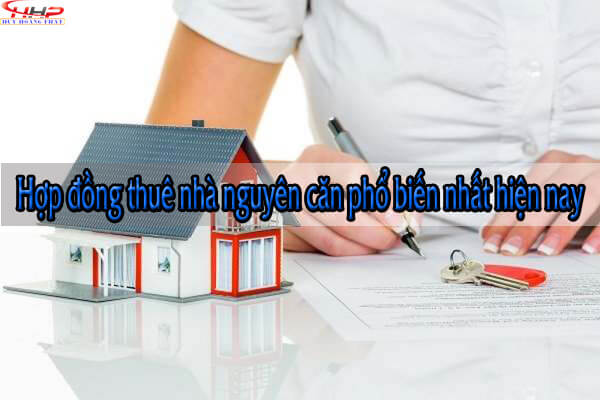 Hợp đồng thuê nhà nguyên căn phổ biến nhất hiện nay